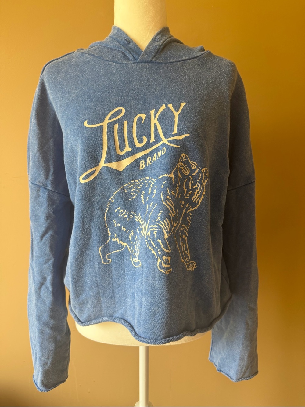 Lucky Brand Blue Pullover Hoodie with White Bear Graphic